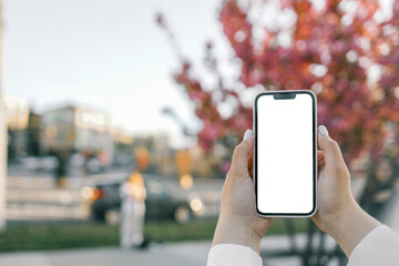 Close-up of woman taking photo of sakura flowers with mobile phone