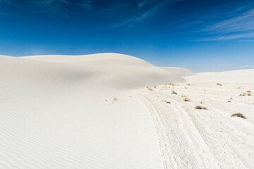Dunes made of white gypsum sand in New Mexico