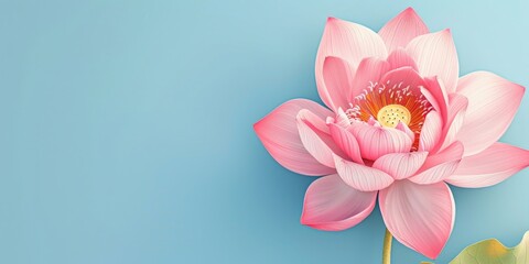 Fototapeta premium A single pink flower sitting on a blue background, simple and elegant