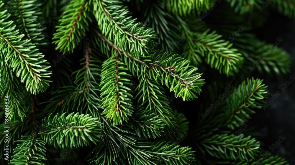 Poster a close-up view of a pine tree's green needles and trunk