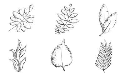 Set of leaves sketch icons Vector