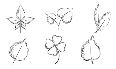 Set of leaves sketch icons Vector