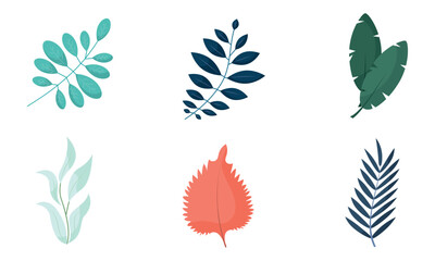 Colored leaves Icons set Vector