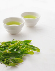茶葉　新茶