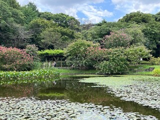 East Garden of the Imperial Palace, Gardens, Ninomaru-garden, Tokyo, Japan