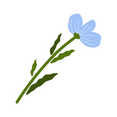 Obraz premium Flowers