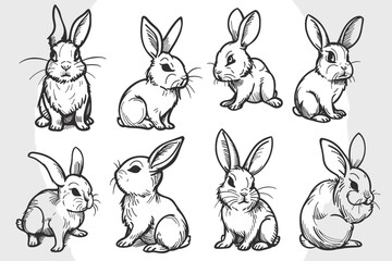 Fototapeta premium vector world wild animals, mammals, fish, reptiles, and birds. Rare animals. Funny flat characters, good for banners, prints, patterns, infographics, children's book illustrations etc generated ai