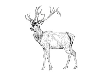 vector world wild animals, mammals, fish, reptiles, and birds. Rare animals. Funny flat characters, good for banners, prints, patterns, infographics, children's book illustrations etc generated ai