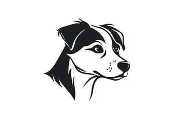 Fototapeta premium vector world wild animals, mammals, fish, reptiles, and birds. Rare animals. Funny flat characters, good for banners, prints, patterns, infographics, children's book illustrations etc generated ai
