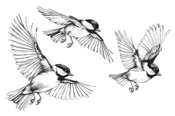 Obraz premium vector world wild animals, mammals, fish, reptiles, and birds. Rare animals. Funny flat characters, good for banners, prints, patterns, infographics, children's book illustrations etc generated ai