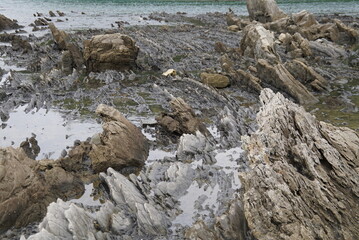 江田海岸・波食棚