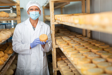 Skilled cheesemaker wearing white robe and protective face mask checking aging process of hard goat...