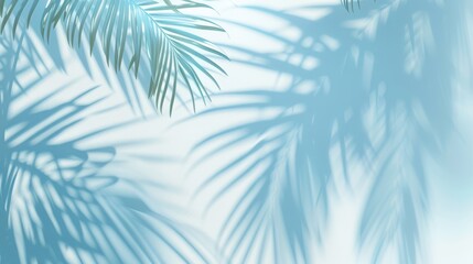 Blurred shadow from palm leaves on light cream wall. Minimalistic beautiful summer spring background for product presentation. 