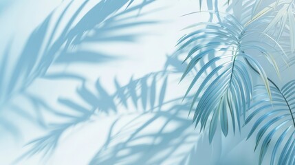 Blurred shadow from palm leaves on light cream wall. Minimalistic beautiful summer spring background for product presentation. 