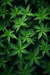 Verdant Canopy Vibrant Green Leaves Plants for Your Background