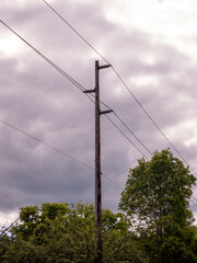 power lines and trees