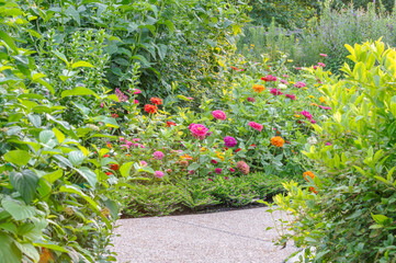 Naklejka premium Garden pathway surrounded by bright green plants and flowers.