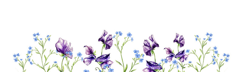 Beautiful banner, hand drawn purple violet pink red sweet pea flowers and forgive me nots. Perfect for wallpapers, web page backgrounds, surface textures, textile. Isolated on white background.
