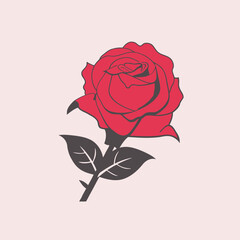 Rose Vector Illustration   Flower, Floral, Petal, Blossom, Icon
