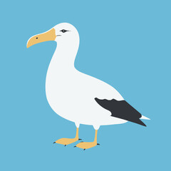 Obraz premium Albatross Vector Illustration Bird, Wingspan, Flight, Wildlife, Icon