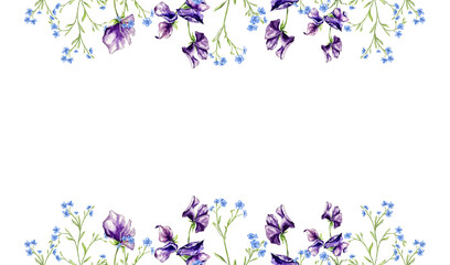 Beautiful banner, hand drawn purple violet pink red sweet pea flowers and forgive me nots. Perfect for wallpapers, web page backgrounds, surface textures, textile. Isolated on white background.