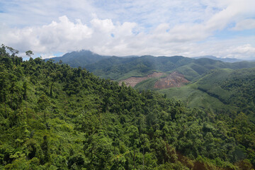 Fototapeta premium the tree mountain view before from banahill cable car