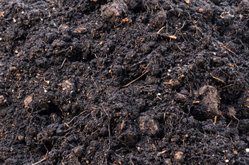 close view of a soil in the ground