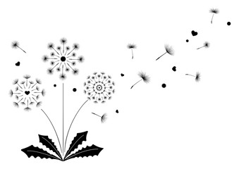 ファンタスティックな風に舞うたんぽぽの綿毛