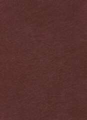 Brown leather detailed texture in high resolution