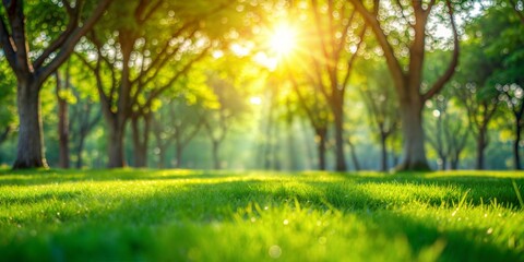 Fototapeta premium Dappled Light Lawn Blur: A green blurred background with dappled sunlight filtering through trees onto a neatly trimmed lawn. 