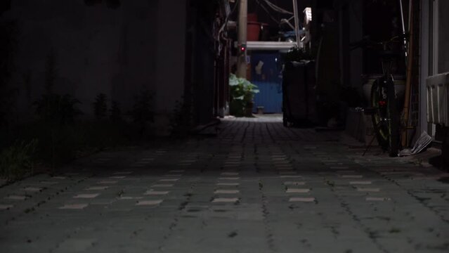 어두운 골목길 보도 블럭 바닥 멀리 보이는 전봇대 가로등 불빛 파란 대문 자전거 신문(밤+저녁+주택+조명)