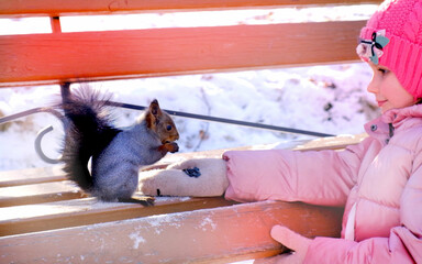 Child feeding a little funny squirrel  in the park . Wild animals, lend a hand