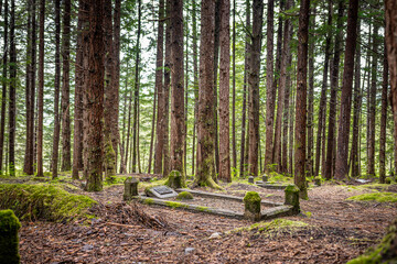 Abandoned Cemetery in the Ghost Town of Anyox, British Columbia

A hauntingly quiet cemetery sits tucked away in the overgrown forests of Anyox, a long-abandoned ghost town in British Columbia.
