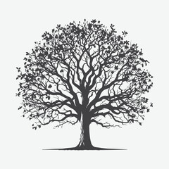 Print Majestic Pecan Tree Silhouette, Nature's Timeless Shadow