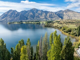 Naklejka premium Poplar trees, mountains and calm Wanaka Lake of Glenhu bay, Wanaka, Otago, New Zealand.