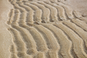 Sandy desert in Qatar, in the southern part of the country