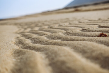 Sandy desert in Qatar, in the southern part of the country