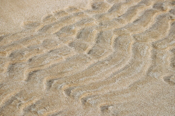 Sandy desert in Qatar, in the southern part of the country