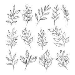 Set of leaves illustration vector