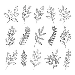 Set of leaves illustration vector