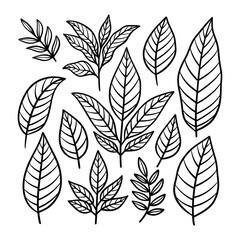 Fototapeta premium Set of leaves illustration vector