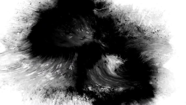 Black ink artistic flow splatter spots spills white paper beautiful reveal dripping streaks spread fluid ink alpha matte isolated watercolor ink drops transition	
