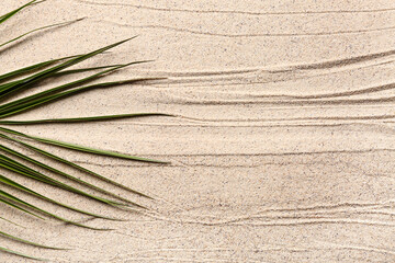 Green leaves on sand with lines