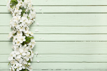 Beautiful blossoming branch and petals on green wooden background