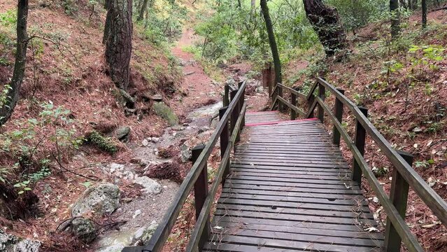 parque ecologico chipinque, monterrey nuevo leon mexico