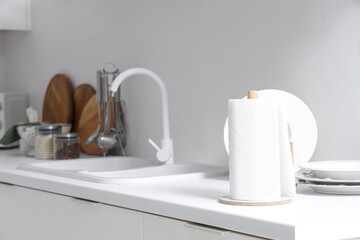 Holder with roll of paper towels near sink on counter in kitchen