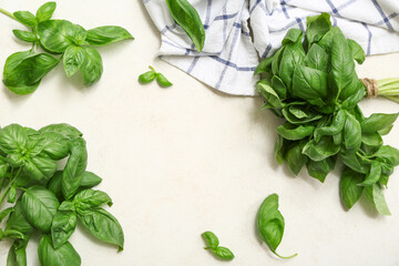Frame made of fresh green basil leaves on white background
