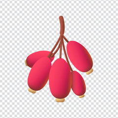 Barberry icon vector design in eps 10