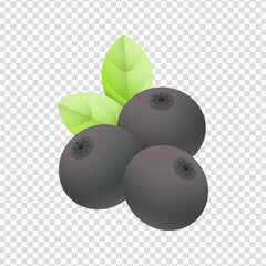 Billberry icon vector design in eps 10