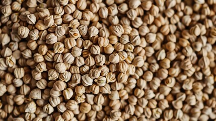 Fototapeta premium garbanzo beans